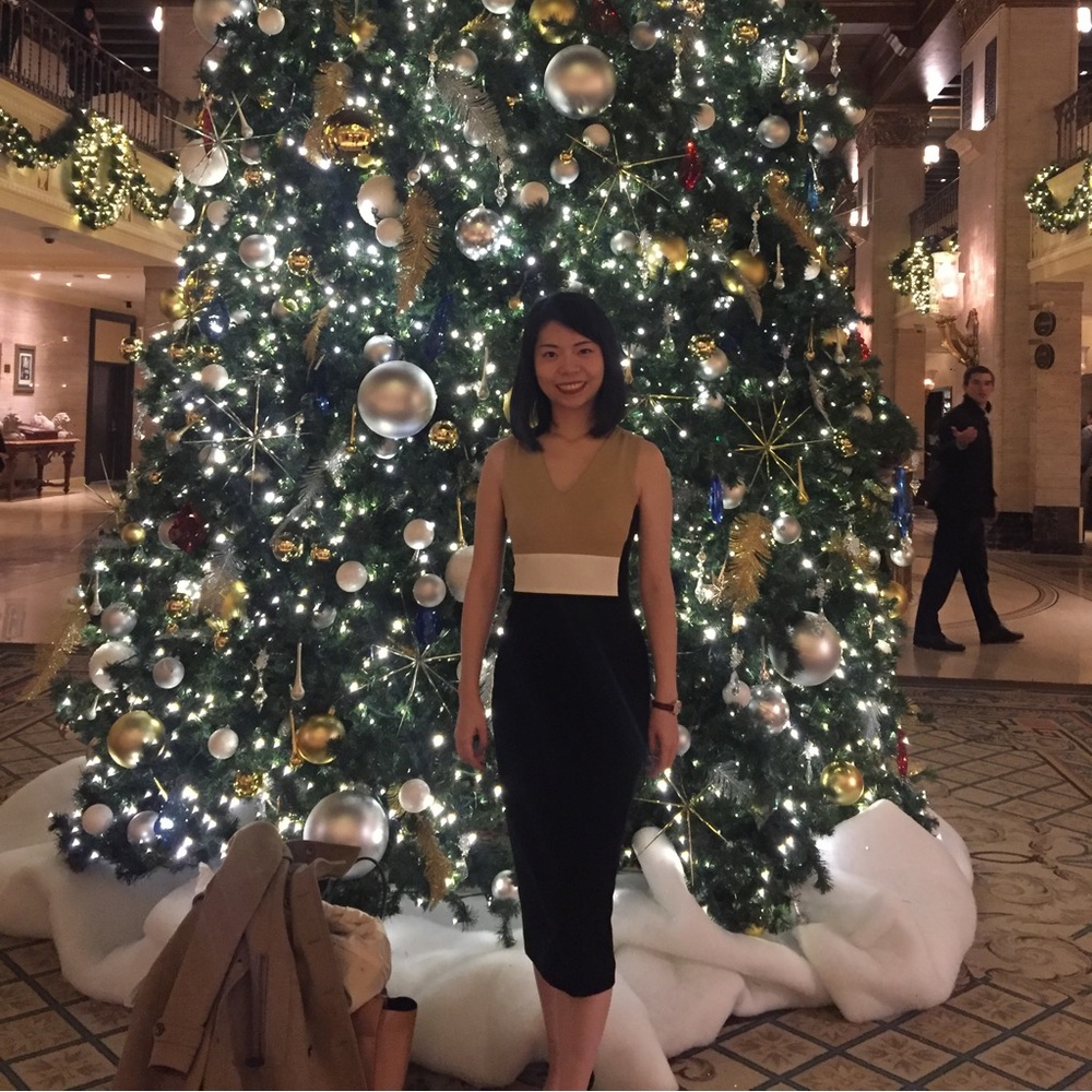 Super flattering dress perfect for work holiday party